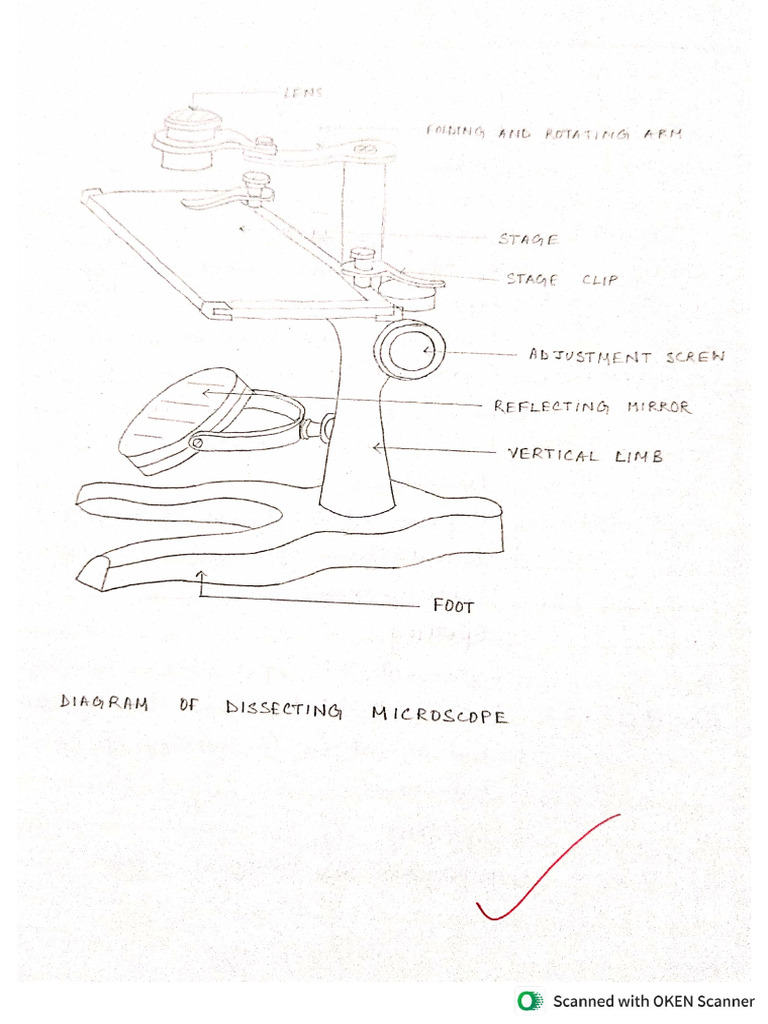 11 Practical File 2 | PDF