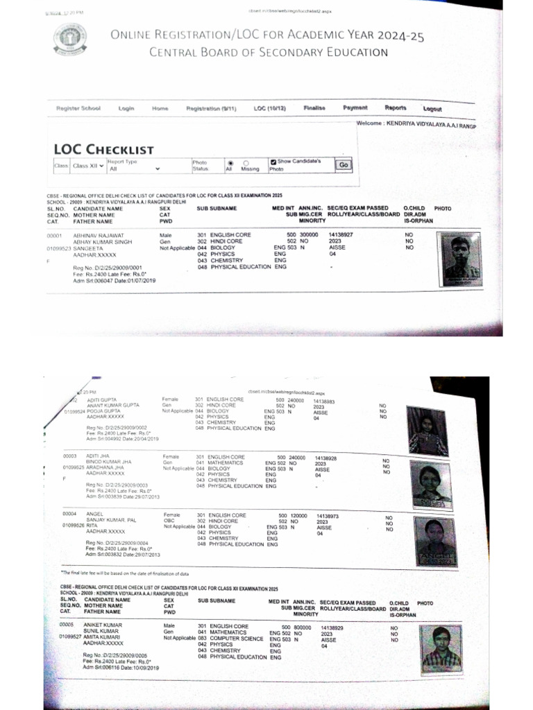 ACE Scanner Document Overview | PDF