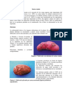 Download Sarna comn de la papa by Jos Luis Pare SN95272790 doc pdf