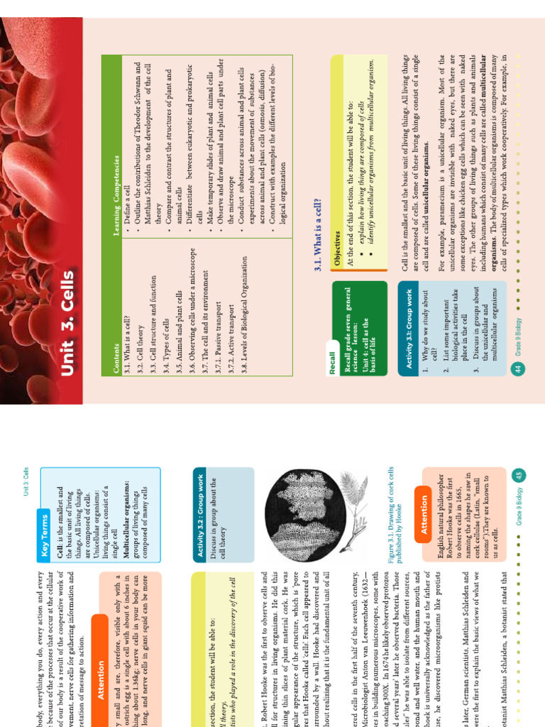 Bio Chap 3 | PDF