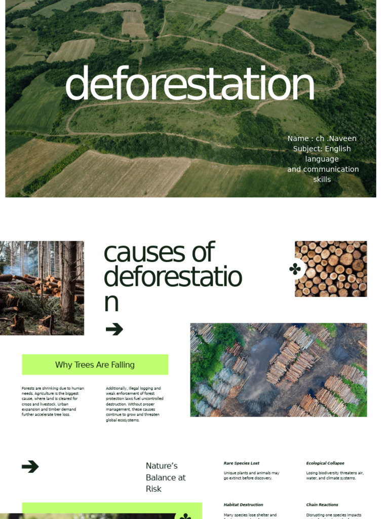 Causes and Effects of Deforestation | PDF | Deforestation | Habitat ...