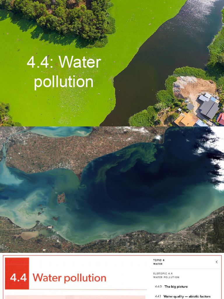 4.4 Water Pollution | PDF | Eutrophication | Water