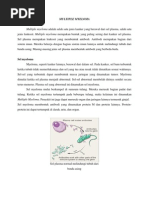 Download Multiple Myeloma by Muhammad Hafidz Azhari SN95279403 doc pdf