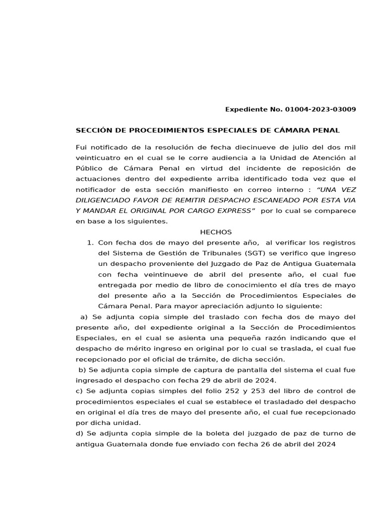 Incidente de Reposición en Cámara Penal | PDF | Justicia | Crimen y ...
