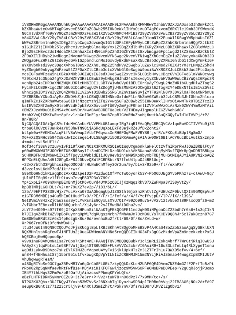 Base64 Image Data and Metadata | PDF