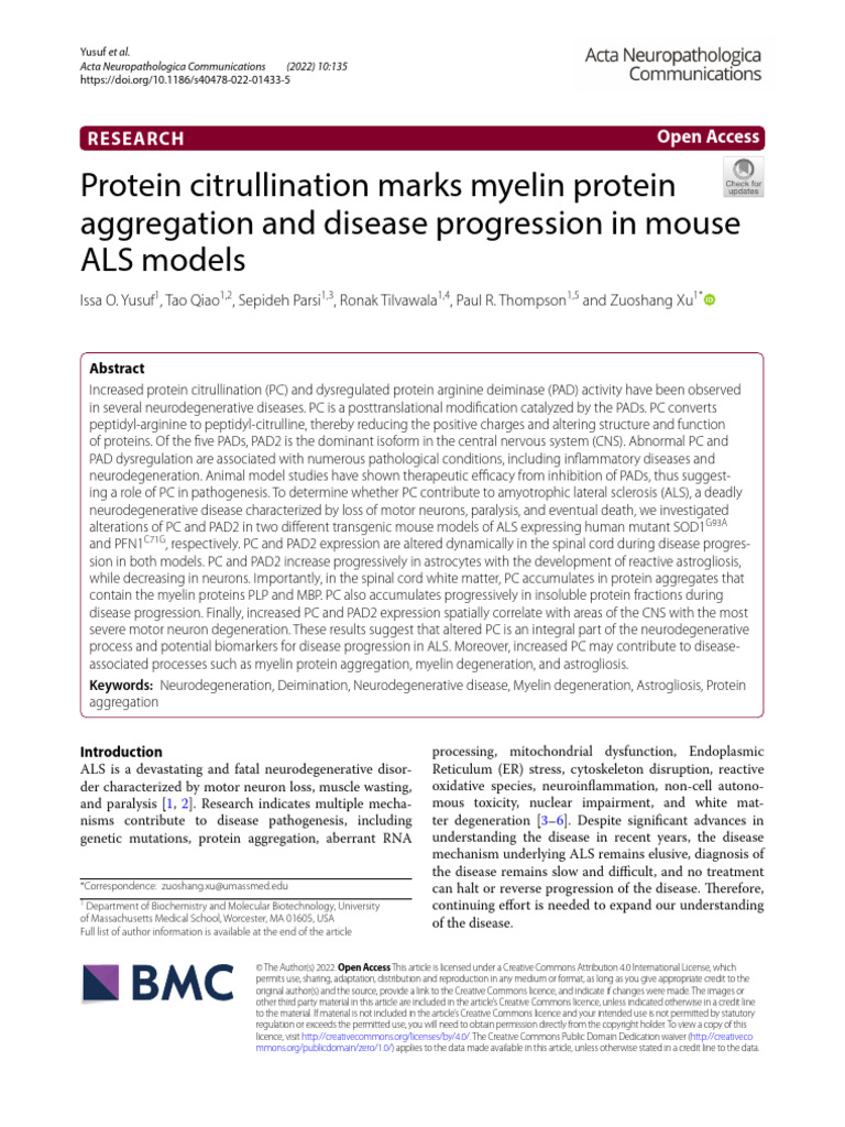 Protein Citrullination in ALS Progression | PDF | Western Blot ...