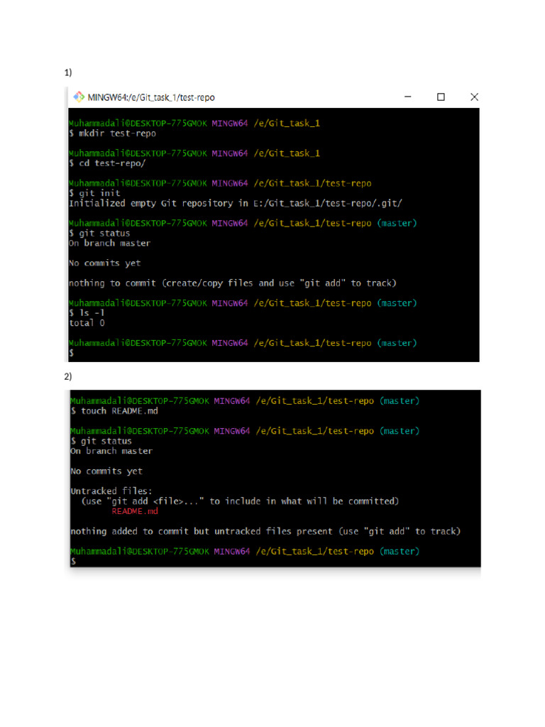 Git Task 1 | PDF