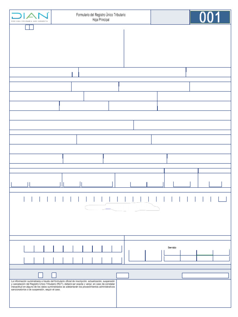 Rut Editable para Envio A La Dian | PDF | Justicia | Crimen y violencia