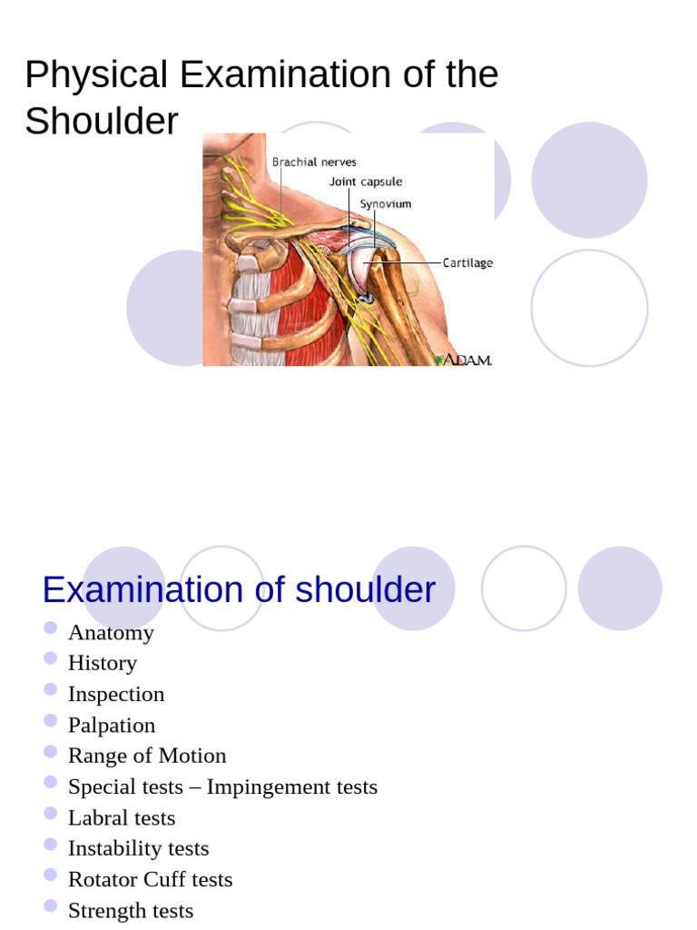 Comprehensive Shoulder Examination Guide | PDF | Anatomical Terms Of ...