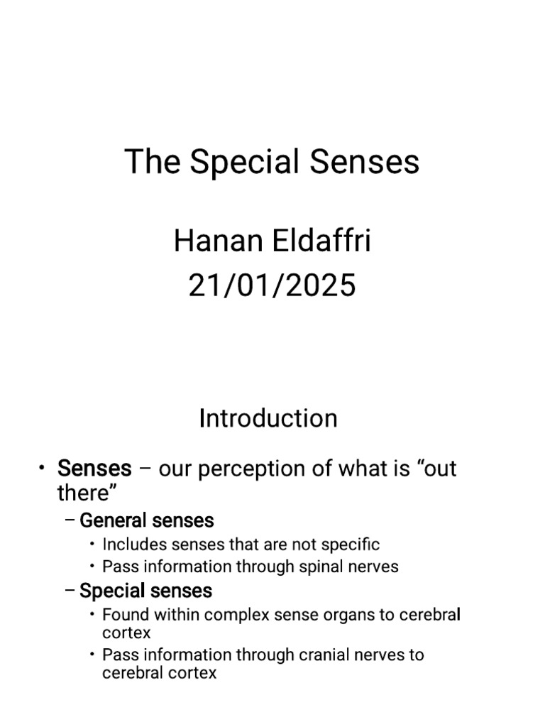 Special Sense | PDF