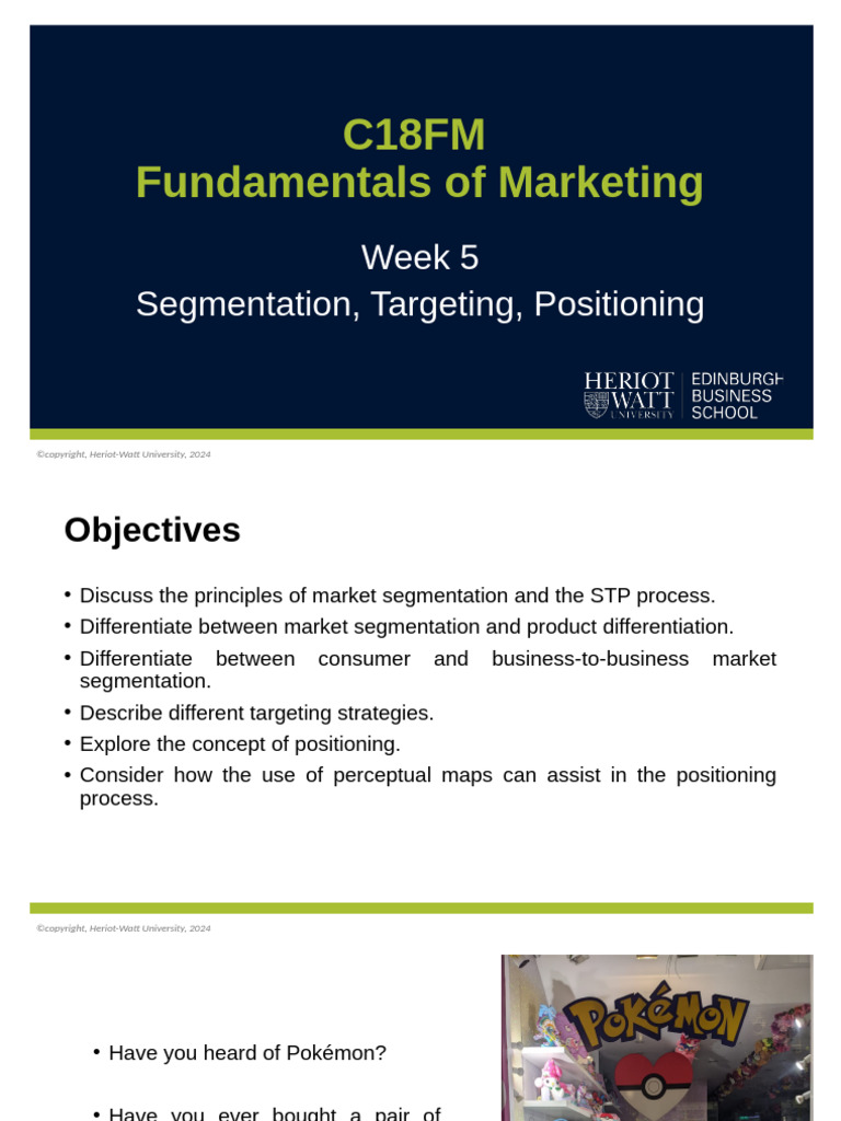 Marketing Segmentation and Positioning Guide | PDF | Marketing | Market ...