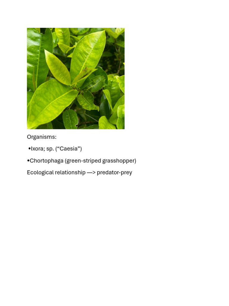 Isa Science Wa3 Xtra Mark ? | PDF