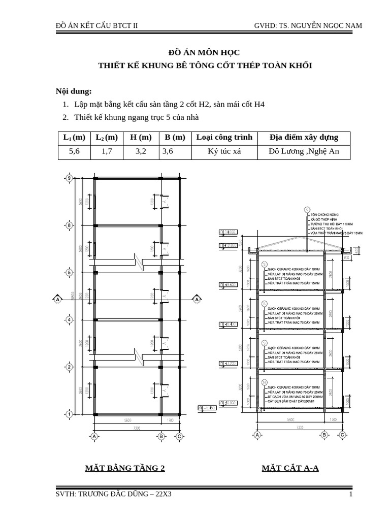 BTCT2 Dũng 22X3 | PDF