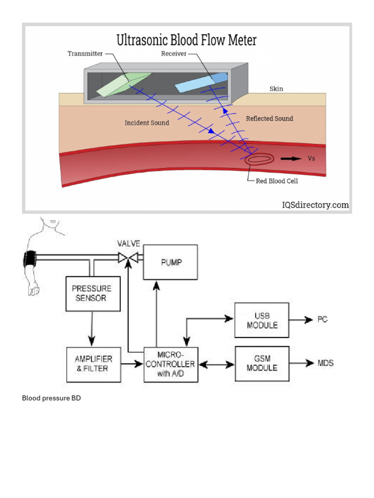 Bio Diag | PDF