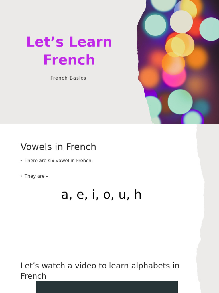 French Language Basics for Beginners | PDF