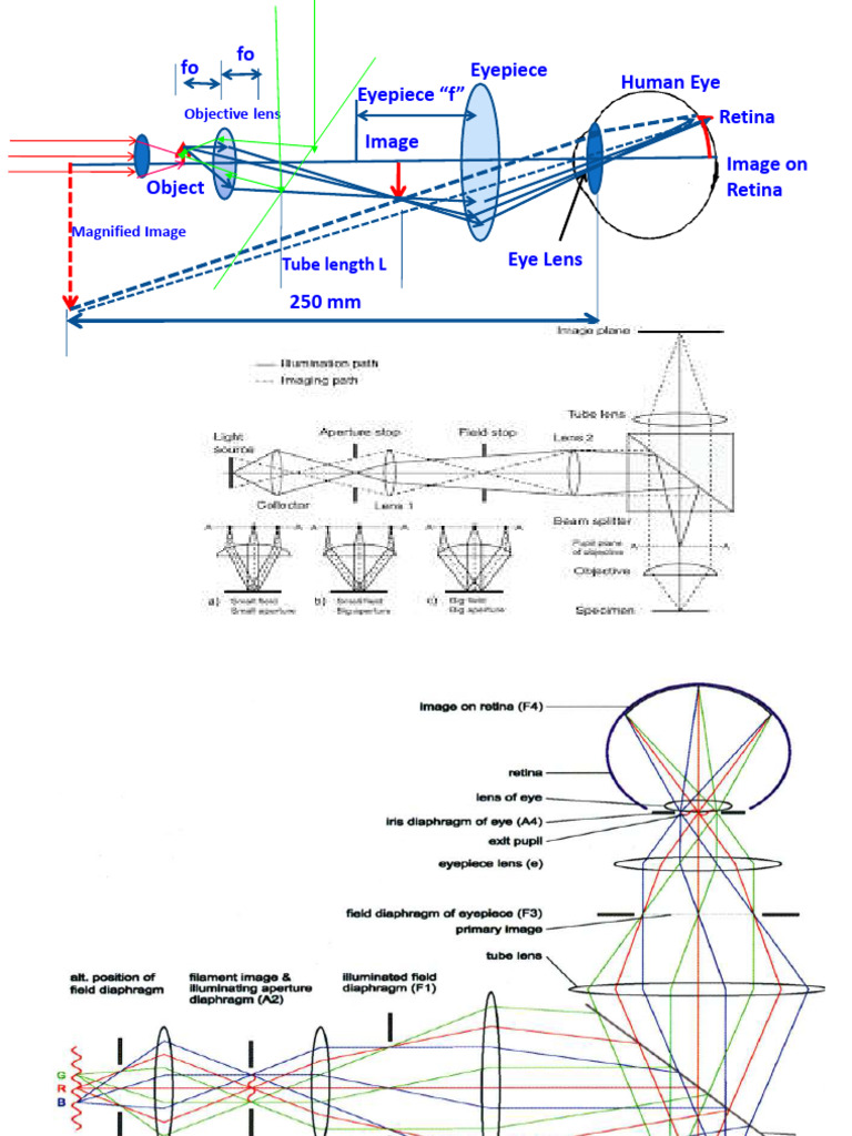 Optical Microscope Design and Resolution | PDF | Angular Resolution ...