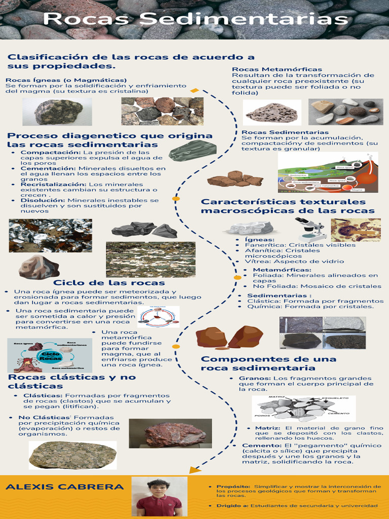 Rocas Sedimentarias | PDF