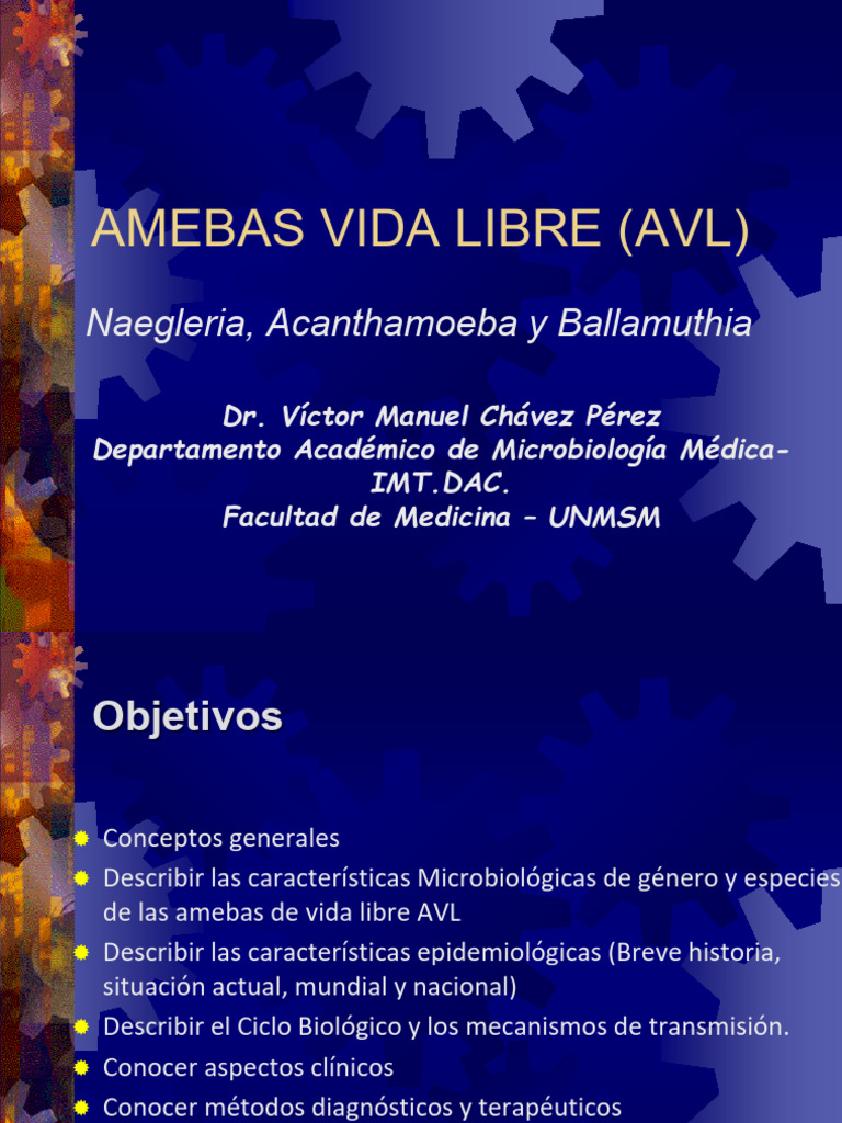 t15 Amebas Vida Libre Avl 2025 | PDF | Biología