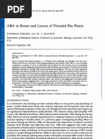 Download ABA in Roots and Leaves of Flooded Pea Plants by ashley54321 SN95297650 doc pdf