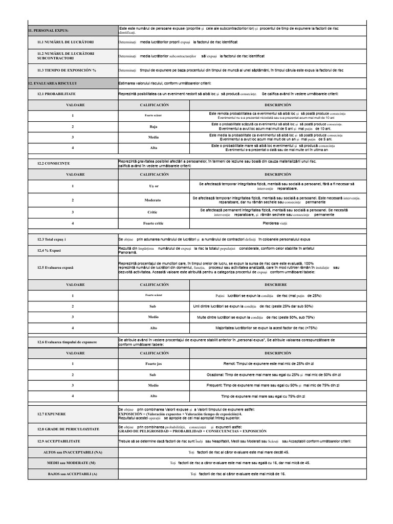 Riscuri Prioritare | PDF