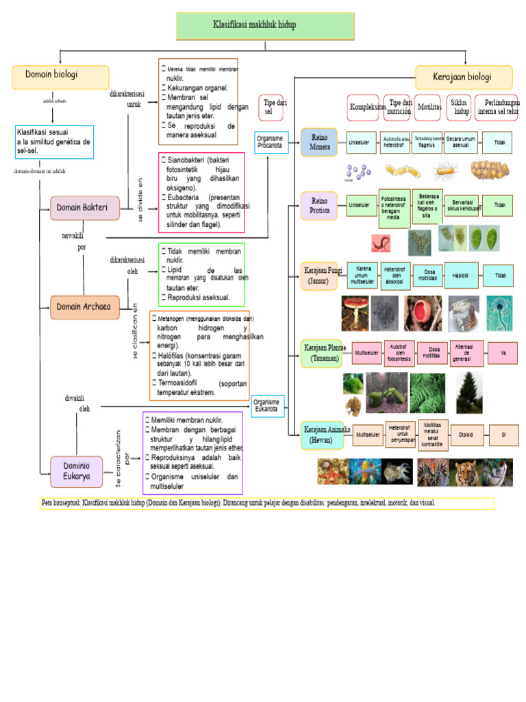 Dive Floridas Public Record Systems Framework And Navigation