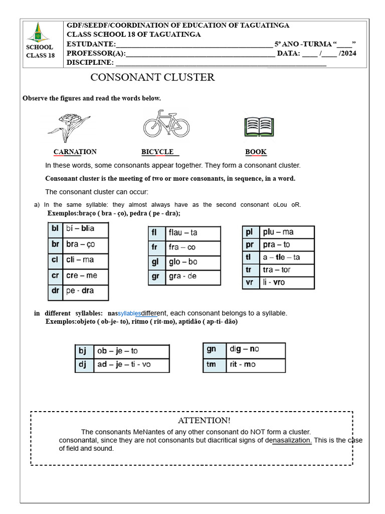 Understanding Consonant Clusters in Words | PDF | Syllable | Phonetics