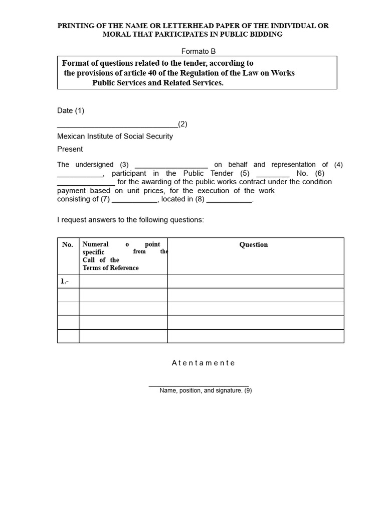 Format B Clarification Meeting Questions Format | PDF