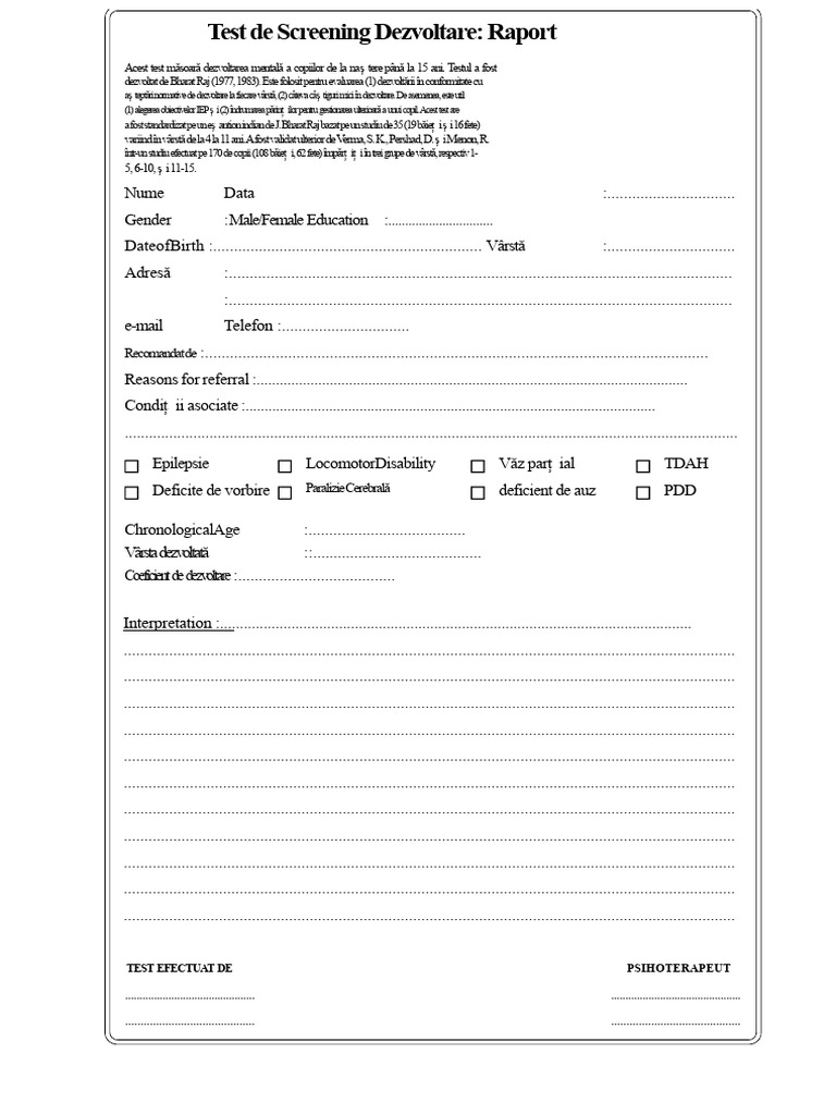 Format Raport DST | PDF