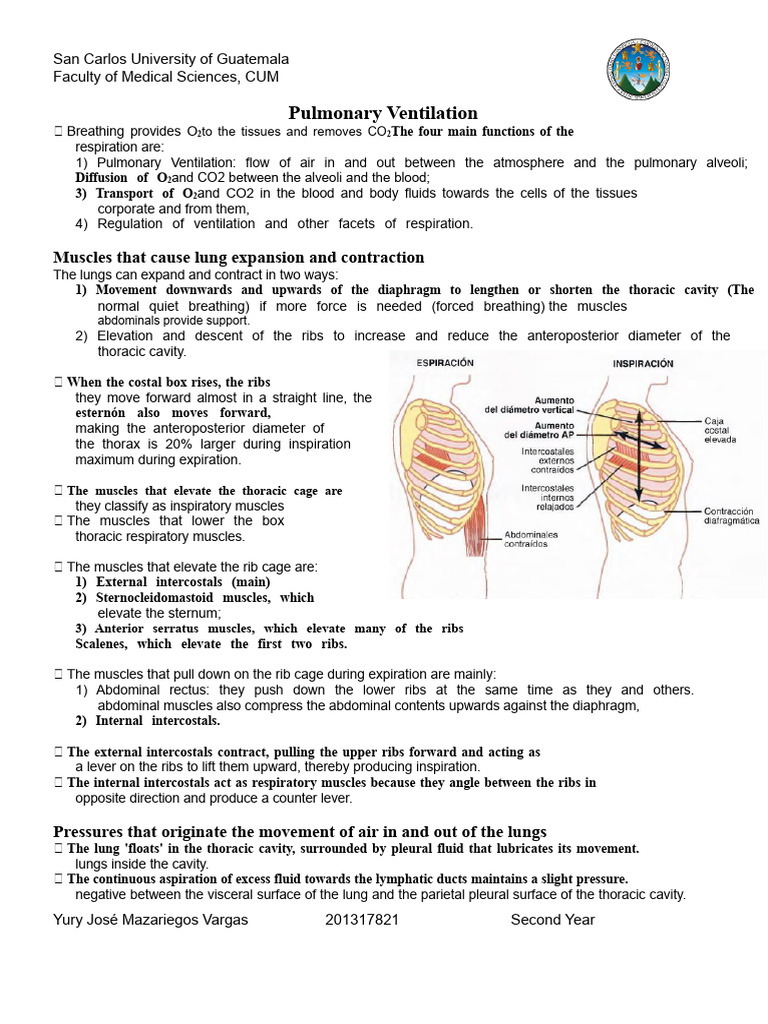 Pulmonary Ventilation Mechanics Explained | PDF | Respiratory Tract | Lung