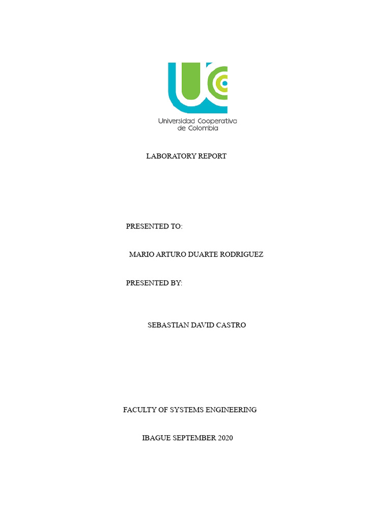 Electric Field Behavior Laboratory Report | PDF | Electric Field | Force