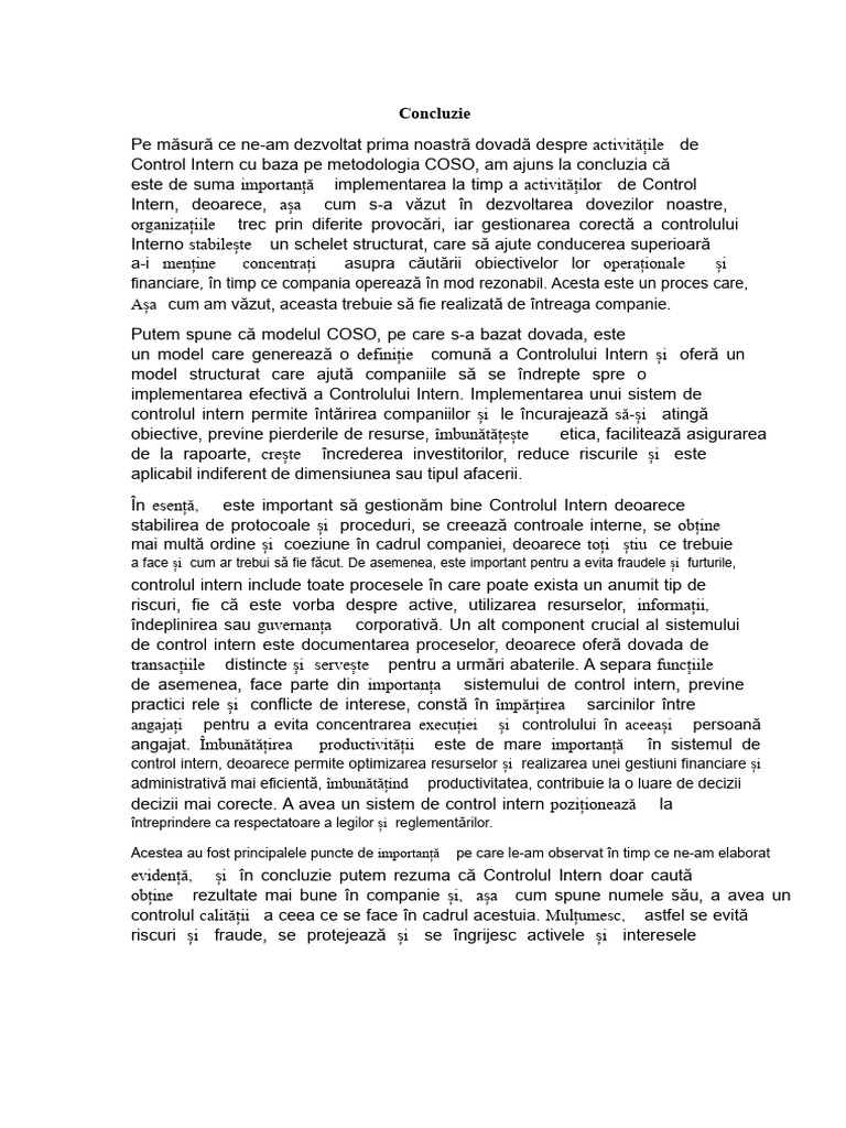 Concluzie Control Intern | PDF