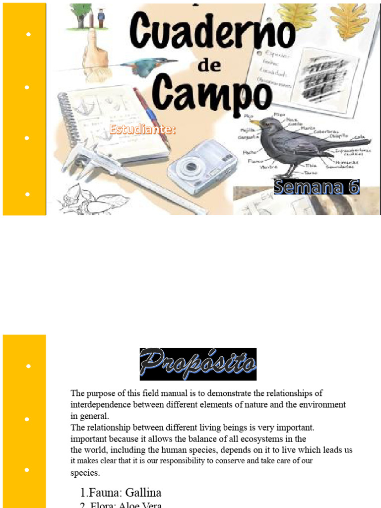 Week 6 Field Notebook | PDF | Water | Measurement