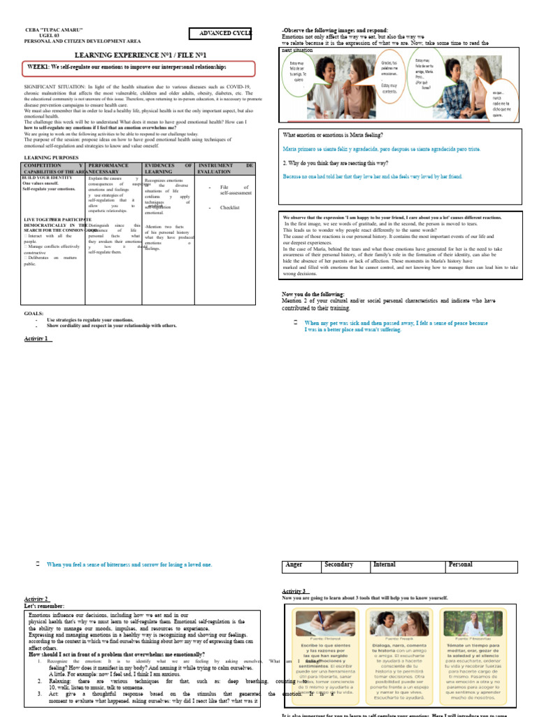 Emotional Self-Regulation Strategies | PDF | Emotions | Emotional Self ...