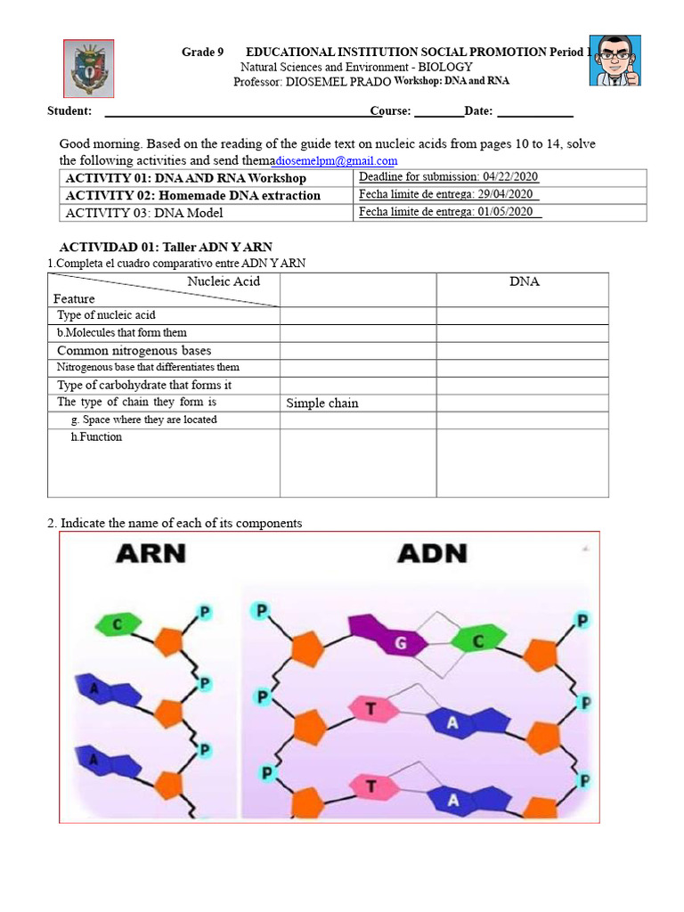 DNA Workshop PDF | PDF | Nucleic Acids | Dna