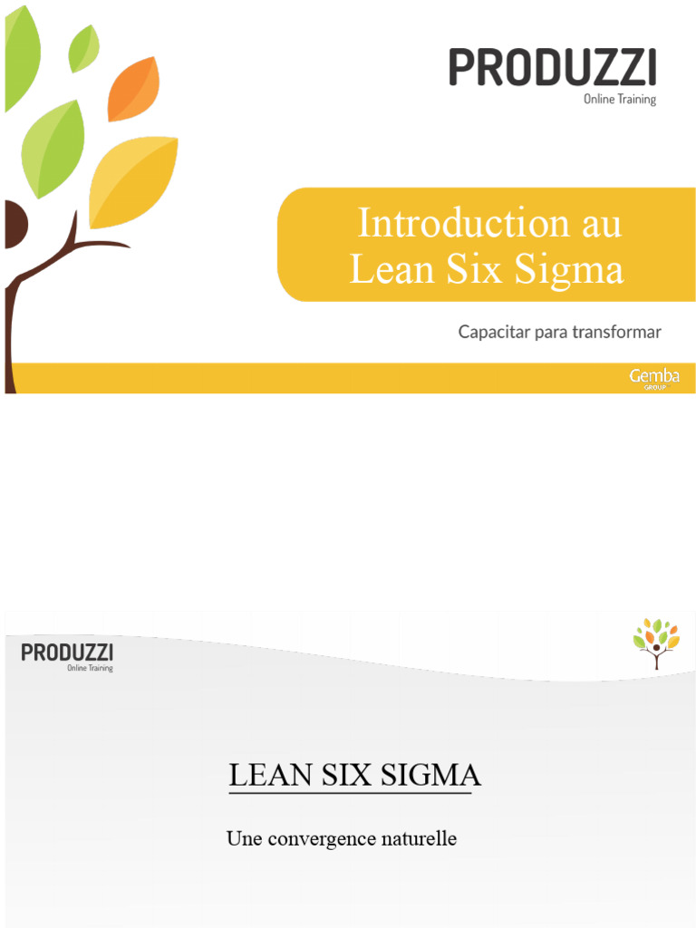 Introduction au Lean Six Sigma | PDF | Six Sigma | Lean (production)