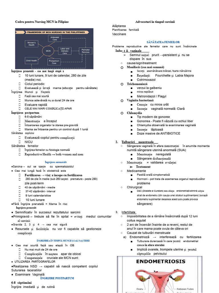 MCN Doc Pacabis | PDF