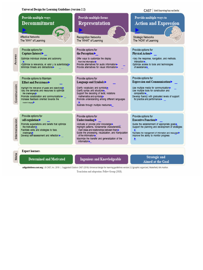 Universal Design for Learning 2.2 Guidelines | PDF | Information | Learning