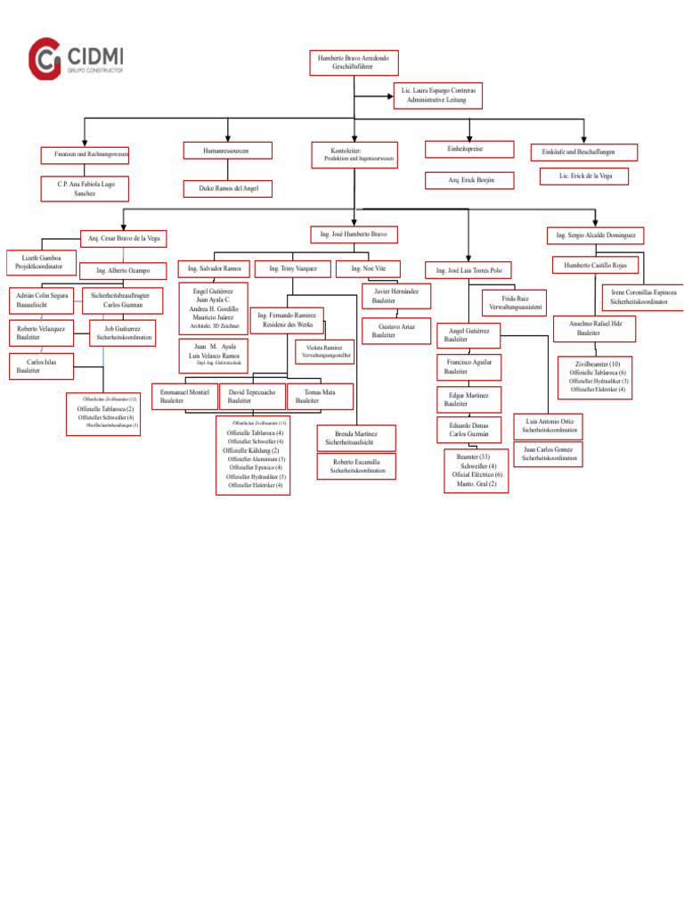 Organigramm CIDMI | PDF