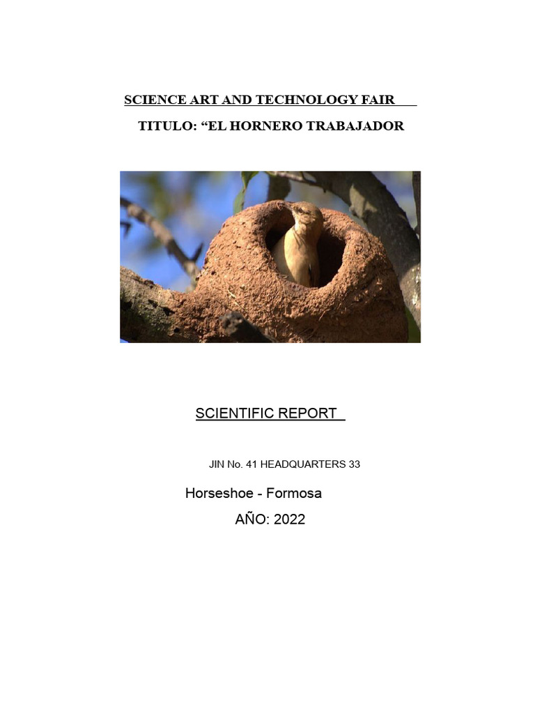 Hornero Nest Construction Project Report | PDF | Birds