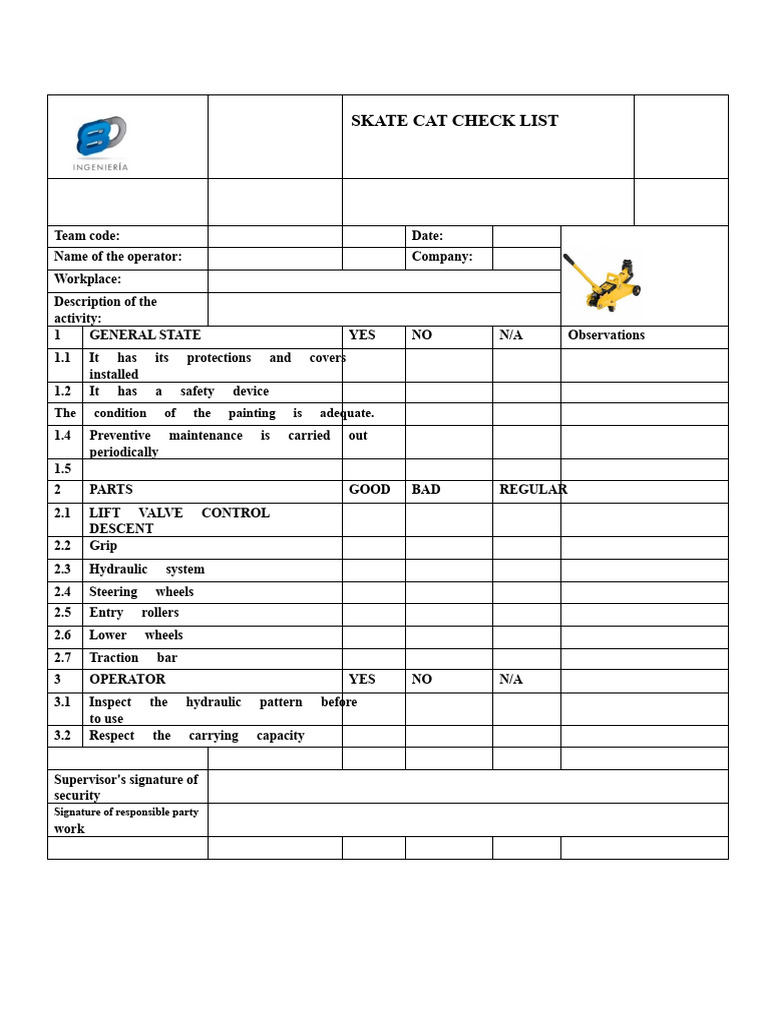 Skate Cat Checklist | PDF