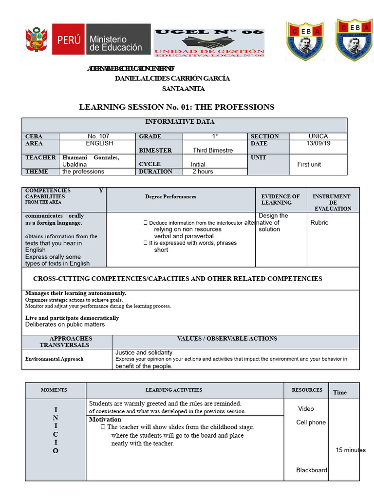 Professions Learning Session Overview | PDF | Learning | Behavioural ...