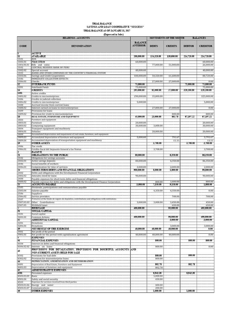 View of Trial Balance for Success Cooperative | PDF | Expense | Finance & Money Management