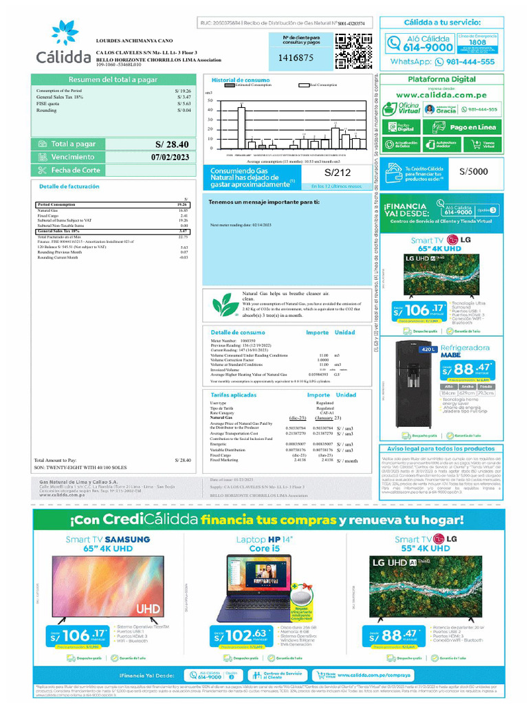 Natural Gas Consumption Invoice Summary | PDF | Natural Gas | Economies
