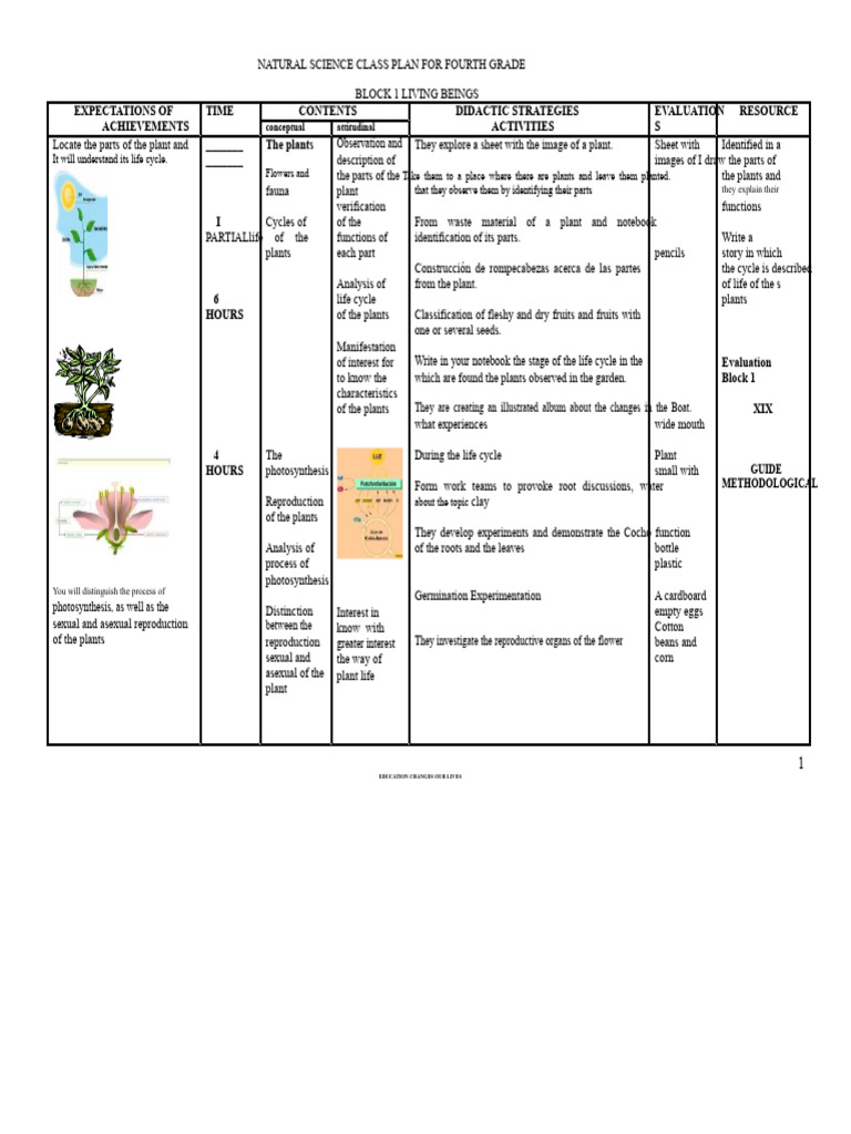 NATURAL SCIENCES CLASS PLAN - 4th GRADE | PDF | Plants | Reproduction