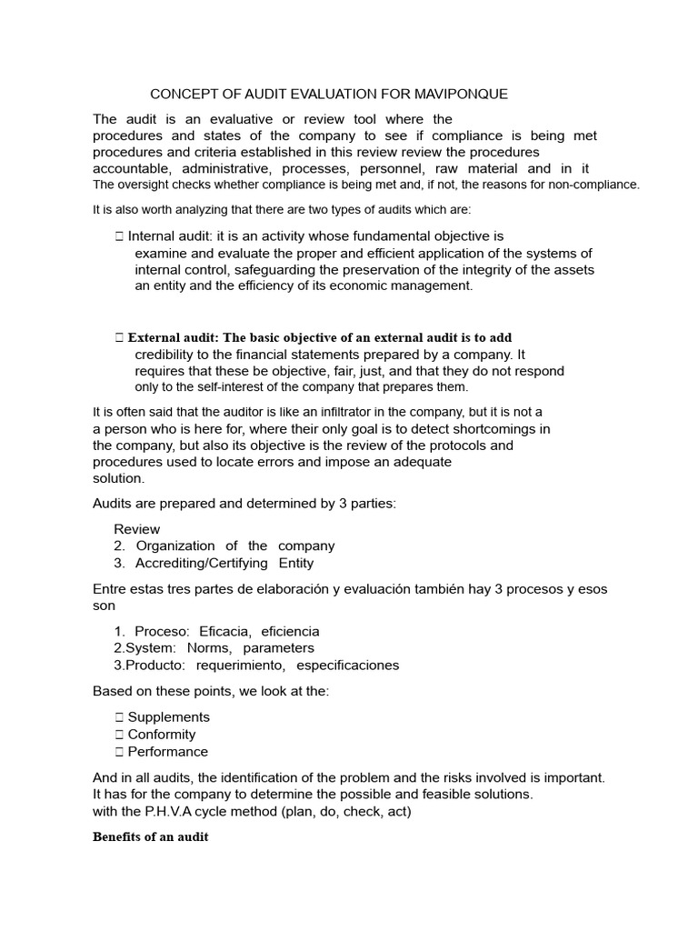 Audit Evaluation Concepts for Companies | PDF | Audit | Business
