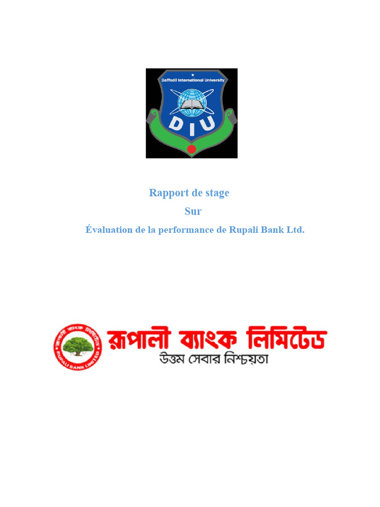 Évaluation de la performance de Rupali Bank | PDF | Ratio financier ...