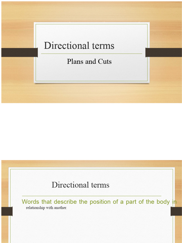Understanding Directional Terms in Anatomy | PDF | Anatomical Terms Of ...