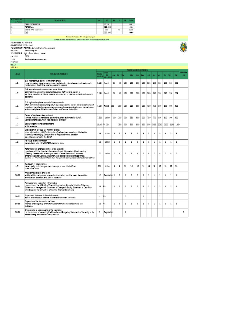 Annual Operational Plan Overview | PDF | Accrual | Expense