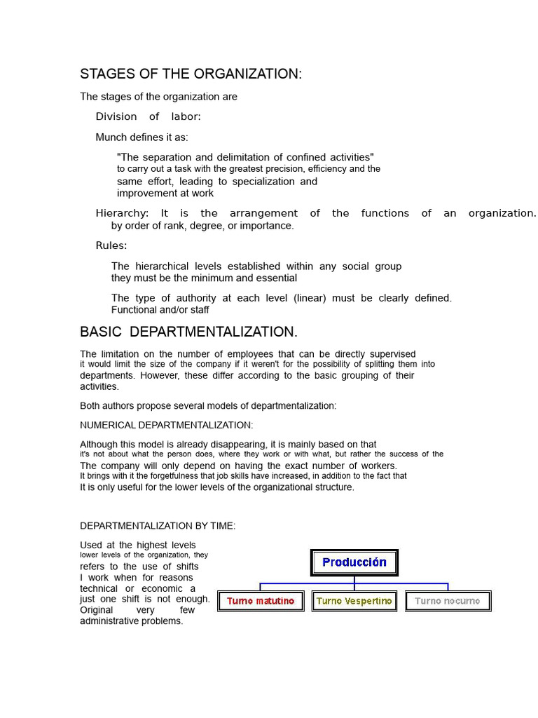 Basic Departmentalization | PDF | Marketing | Organizational Structure