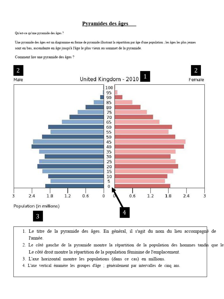 Feuille de Travail Sur La Pyramide Des Âges | PDF